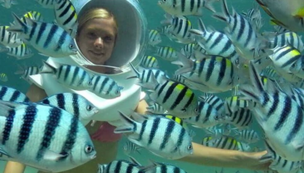 b053e3_669d4e350d4c4d6a88000ac68b2a2f4c_mv2