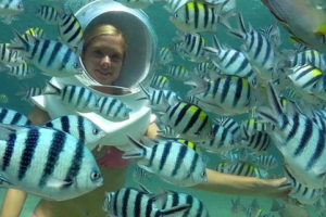 b053e3_669d4e350d4c4d6a88000ac68b2a2f4c_mv2