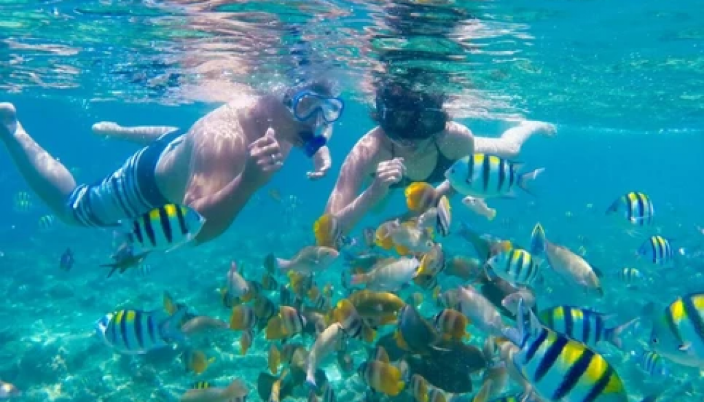 b053e3_c27e194a7712441289cc7afec8711a10_mv2