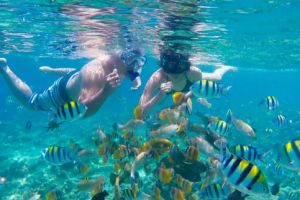 b053e3_c27e194a7712441289cc7afec8711a10_mv2